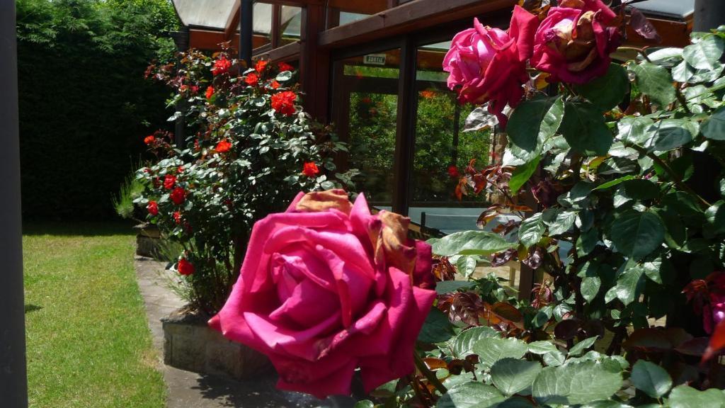 ホテル Logis La Rose Des Vents ボルヴィック エクステリア 写真